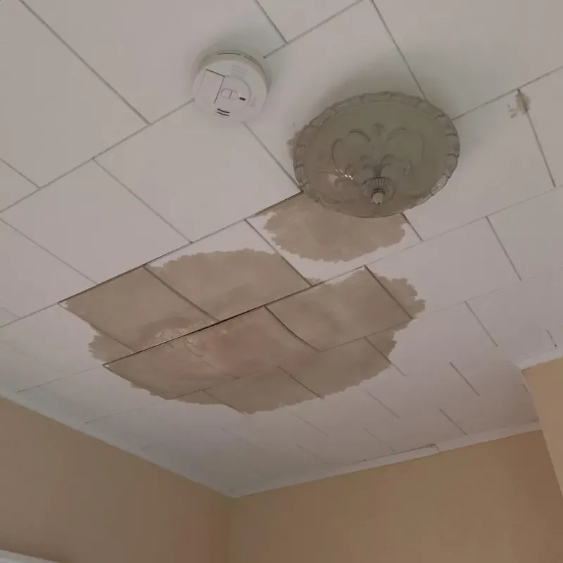 Ceiling Water Damage Repair in Elkader, IA