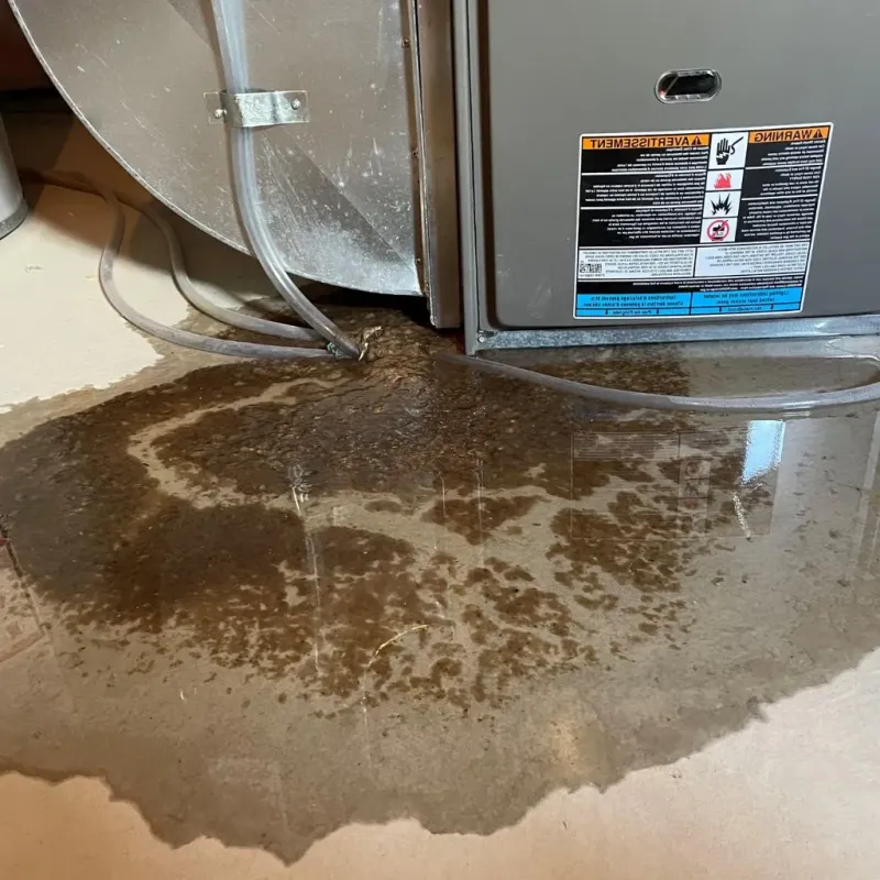 Pipe Burst and Leak Restoration in Elkader, IA