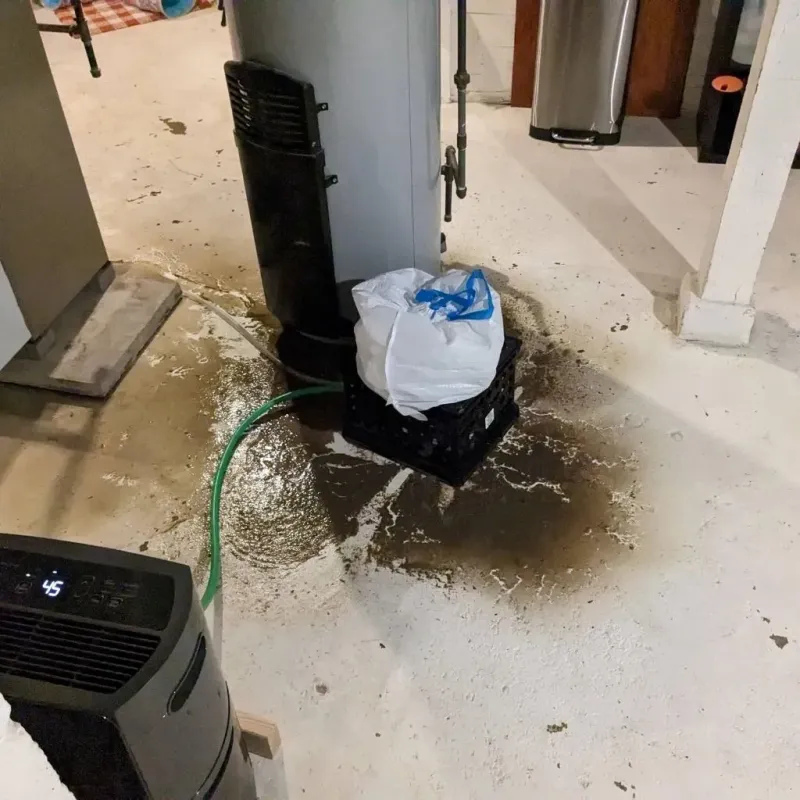 Sewage Backup Cleanup Service in Elkader, IA